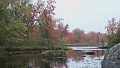 003 (2)